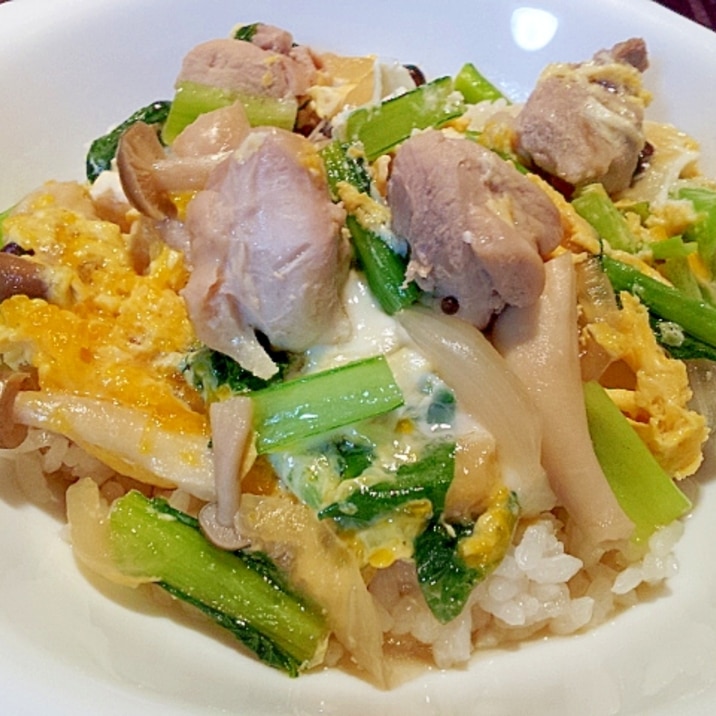 具がたっぷり❤親子丼